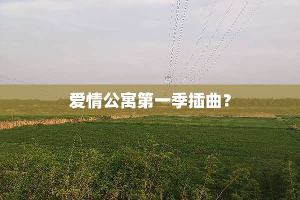 爱情公寓第一季插曲？