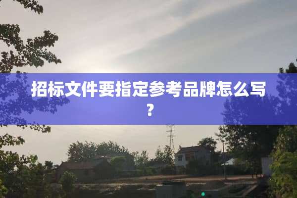 招标文件要指定参考品牌怎么写？
