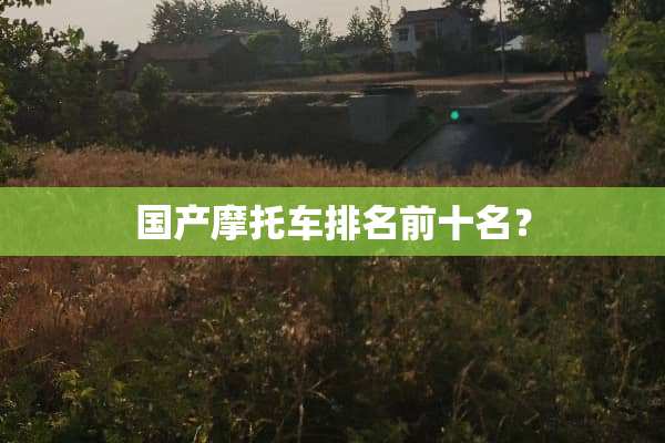 国产摩托车排名前十名？