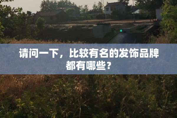 请问一下，比较有名的发饰品牌都有哪些？