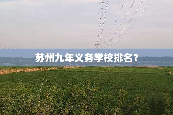苏州九年义务学校排名？