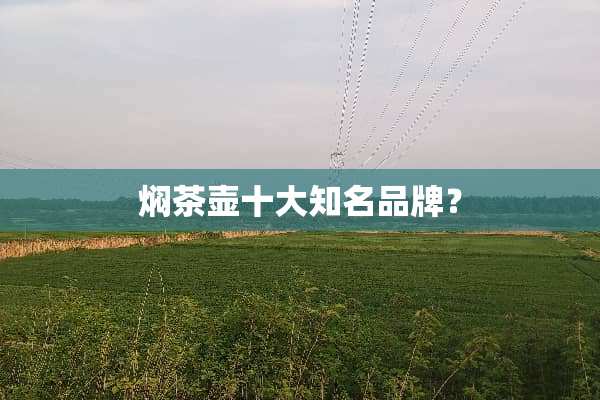 焖茶壶十大知名品牌？