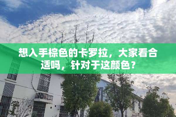 想入手棕色的卡罗拉，大家看合适吗，针对于这颜色？