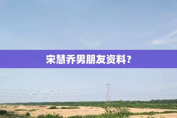 宋慧乔男朋友资料？