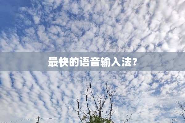 最快的语音输入法？