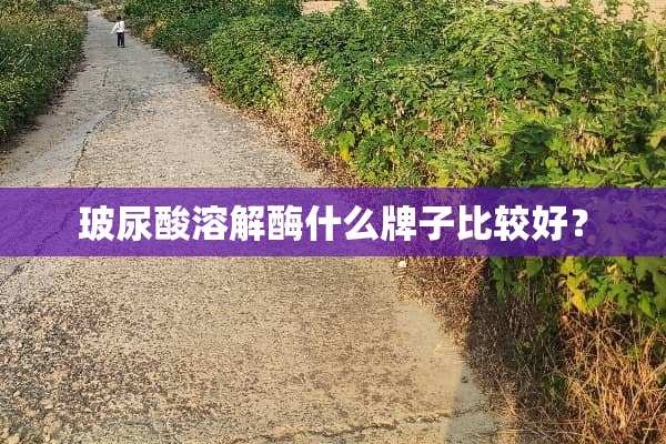 玻尿酸溶解酶什么牌子比较好？