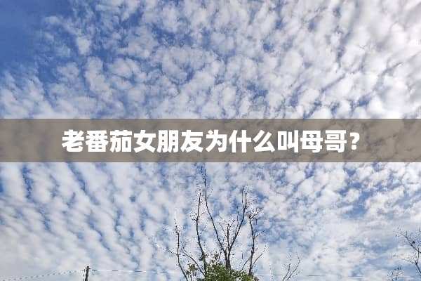 老番茄女朋友为什么叫母哥？