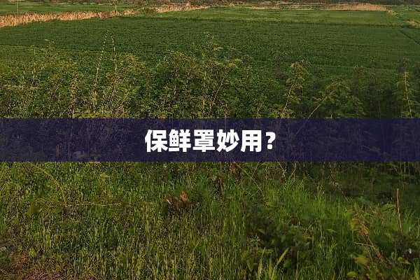 保鲜罩妙用？