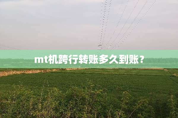 mt机跨行转账多久到账？