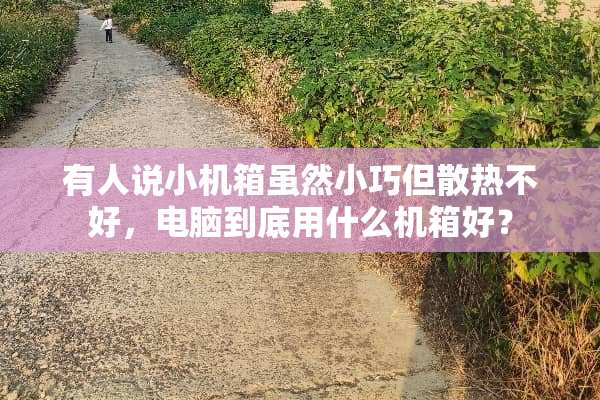 有人说小机箱虽然小巧但散热不好，电脑到底用什么机箱好？