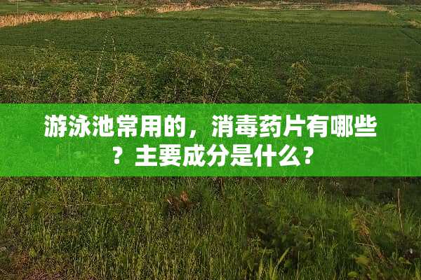 游泳池常用的，消毒药片有哪些？主要成分是什么？