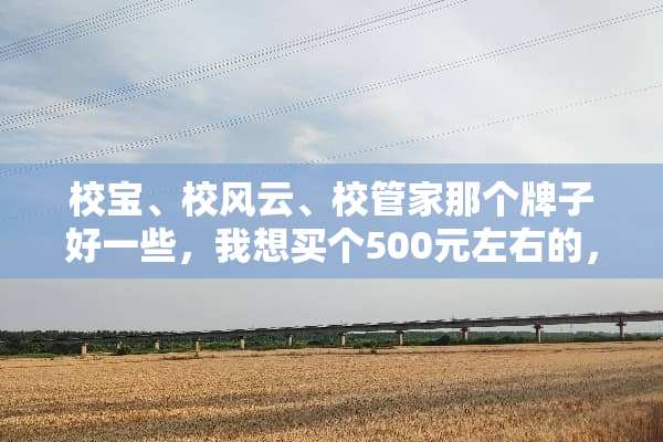 校宝、校风云、校管家那个牌子好一些，我想买个500元左右的，平时课消用？