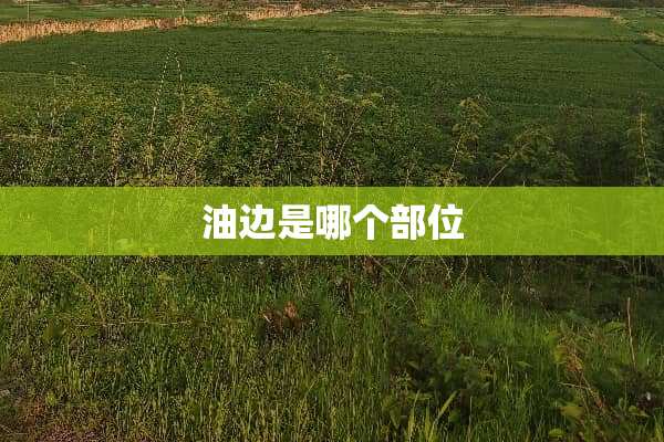 油边是哪个部位