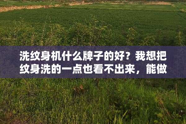 洗纹身机什么牌子的好？我想把纹身洗的一点也看不出来，能做到吗？