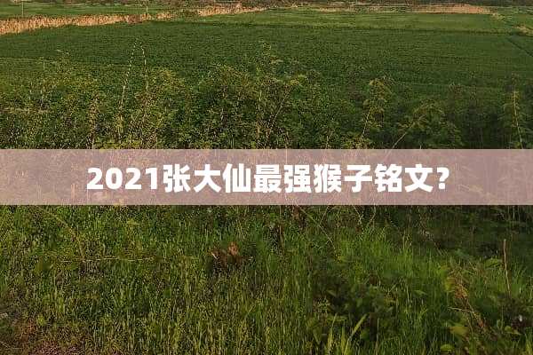 2021张大仙最强猴子铭文？