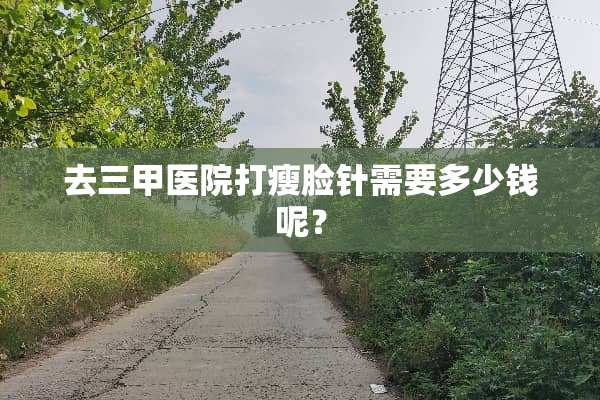 去三甲医院打瘦脸针需要多少钱呢？