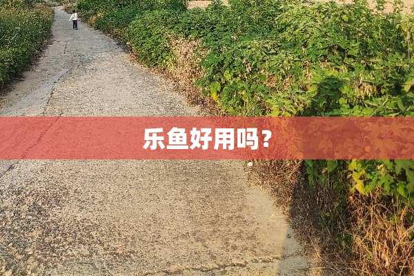 乐鱼好用吗？