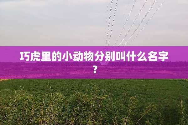 巧虎里的小动物分别叫什么名字？