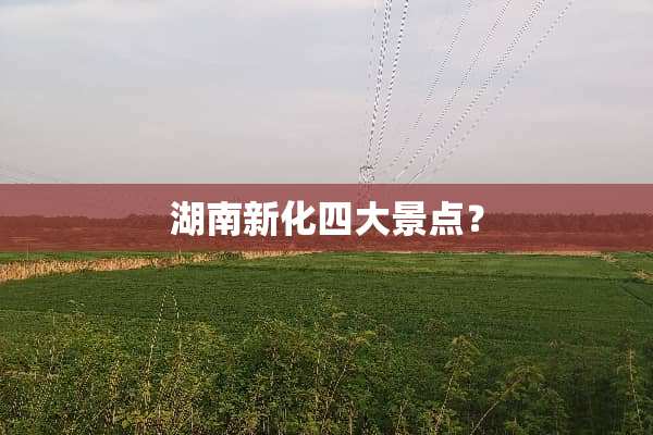 湖南新化四大景点？