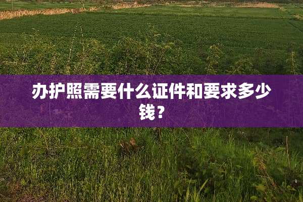 办护照需要什么**和要求多少钱？