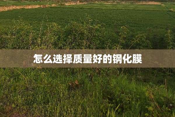 怎么选择质量好的钢化膜