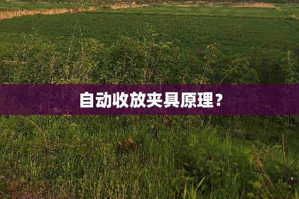 自动收放夹具原理？