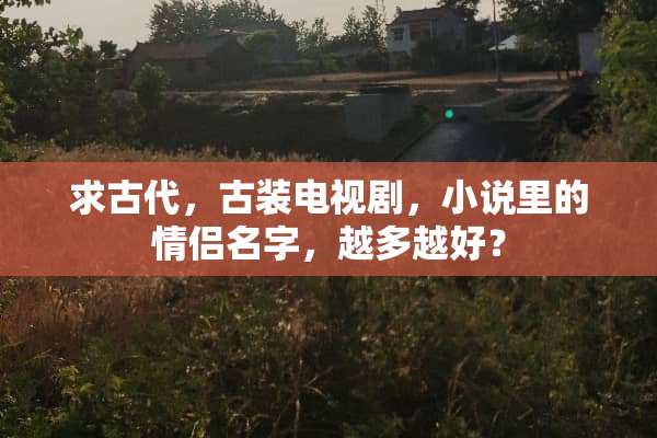 求古代，古装电视剧，小说里的情侣名字，越多越好？