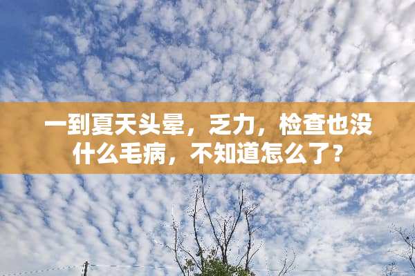 一到夏天头晕，乏力，检查也没什么毛病，不知道怎么了？