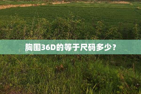 胸围36D的等于尺码多少？