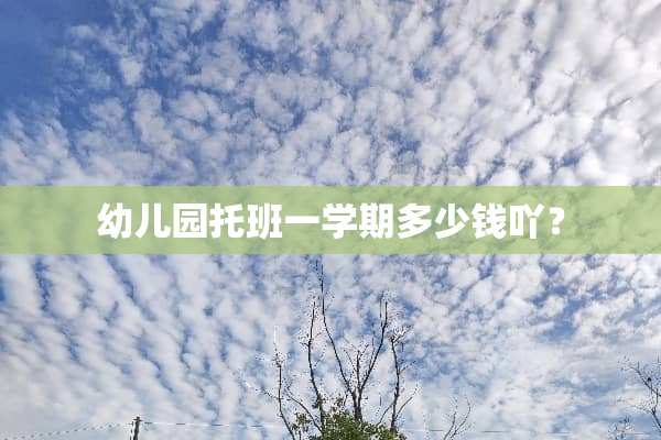 幼儿园托班一学期多少钱吖？