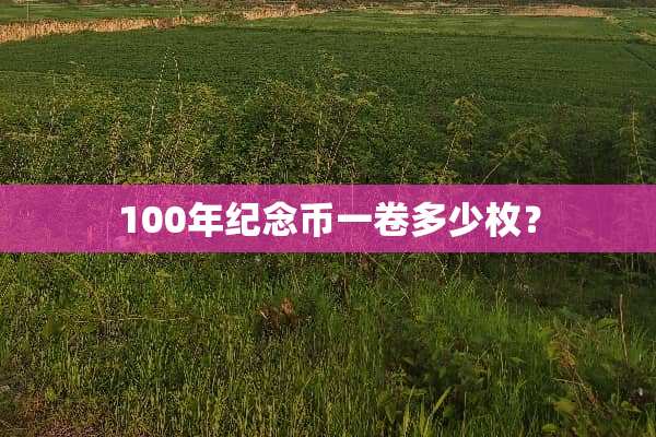 100年纪念币一卷多少枚？