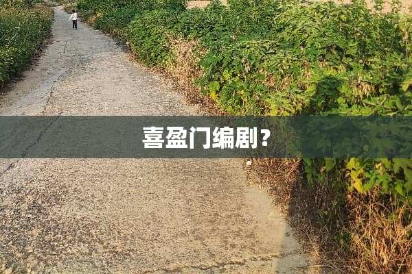 喜盈门编剧？