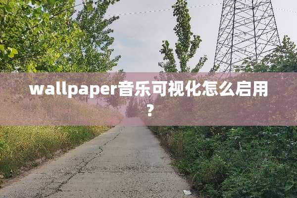 wallpaper音乐可视化怎么启用？