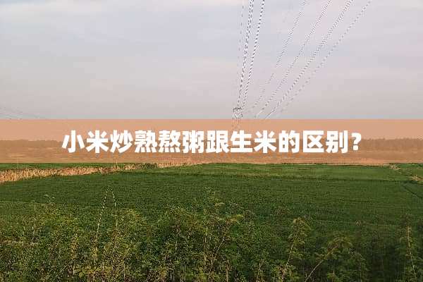 小米炒熟熬粥跟生米的区别？