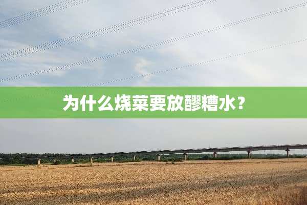 为什么烧菜要放醪糟水？
