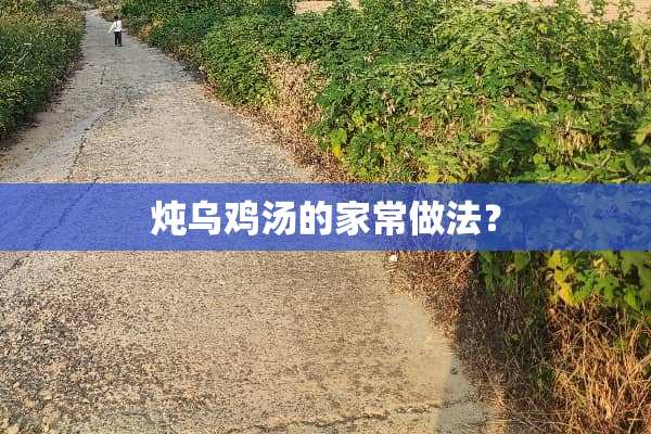 炖乌鸡汤的家常做法？