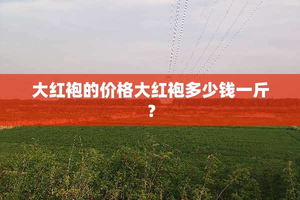 大红袍的价格大红袍多少钱一斤？