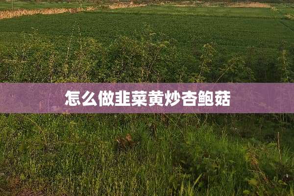 怎么做韭菜黄炒杏鲍菇