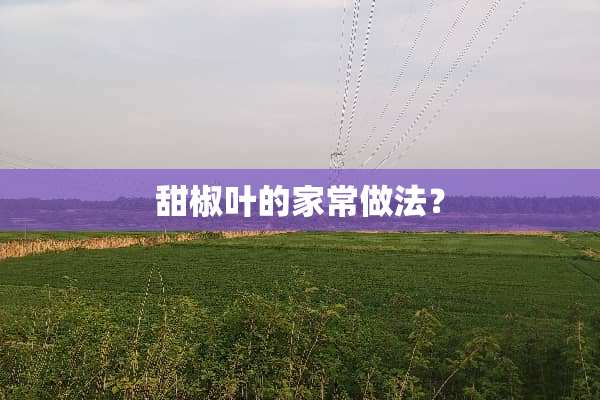 甜椒叶的家常做法？