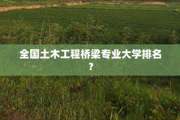 全国土木工程桥梁专业大学排名？