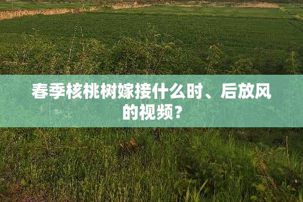 春季核桃树嫁接什么时、后放风的视频？