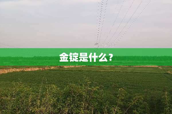 金锭是什么？