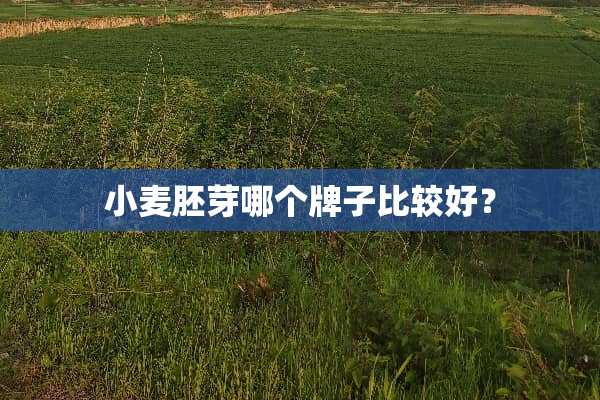 小麦胚芽哪个牌子比较好？
