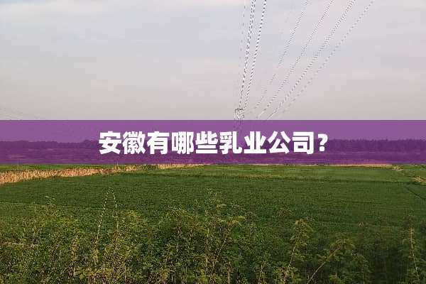 安徽有哪些*业公司？