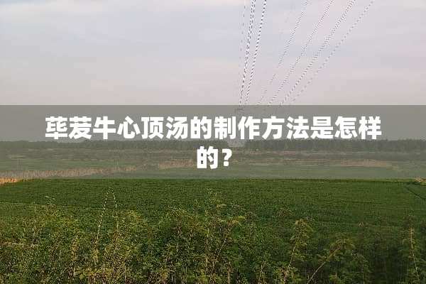 荜茇牛心顶汤的制作方法是怎样的？