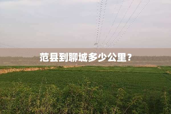范县到聊城多少公里？