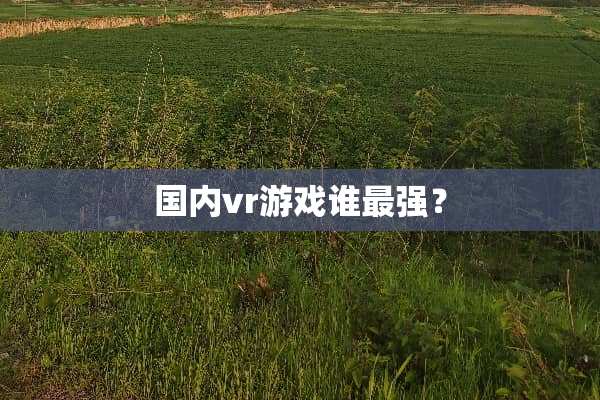 国内vr游戏谁最强？