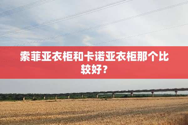 索菲亚衣柜和卡诺亚衣柜那个比较好？