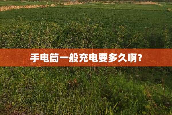 手电筒一般充电要多久啊？