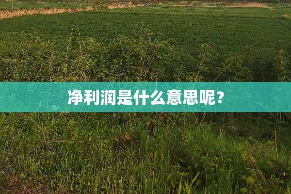 净利润是什么意思呢？